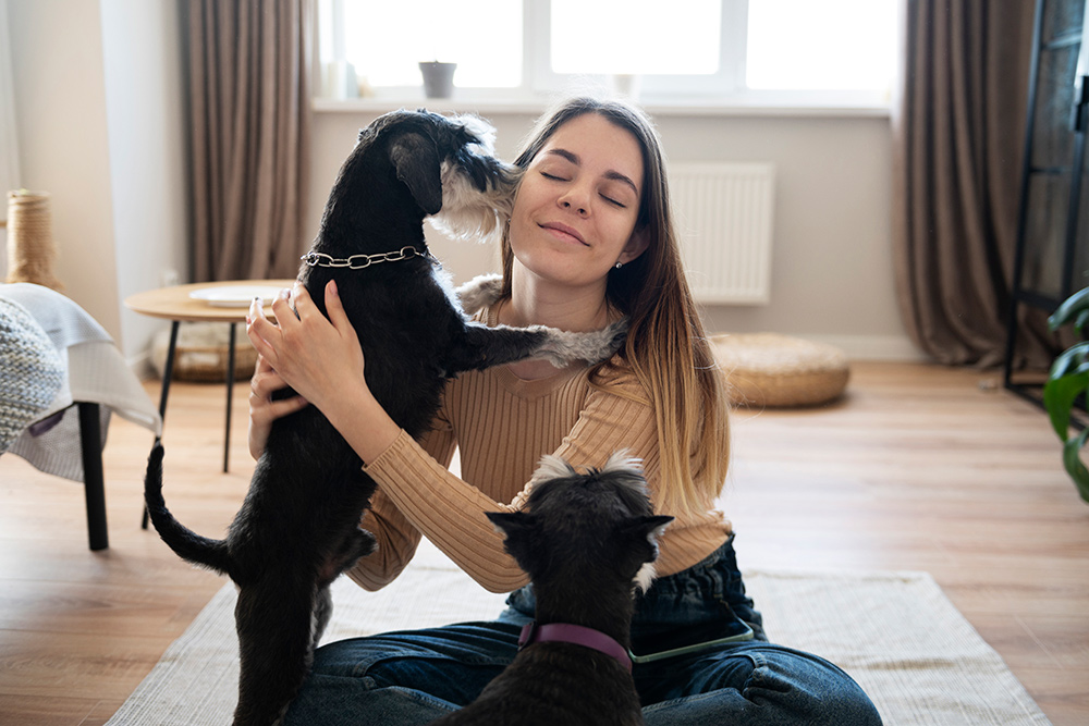 Benefícios do Dog Sitting